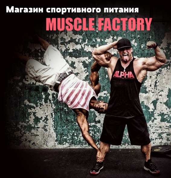 Muscle Factory